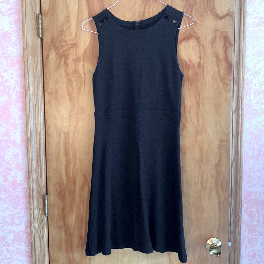 Loft fit and flare dress